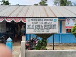 Tiga Bulan Pasca Pohon Tumbang, SDN 153070 Lumut 1 Belum Juga Diperbaiki