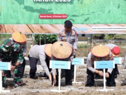 Polda Babel Gelar Penanaman Jagung Serentak Kuartal IV, Dukung Swasembada Pangan Nasional