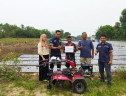 Pasca Dihujani Kritik dan Lemparan Batu, PT Timah Terus Tebar Manfaat untuk Petani Lokal