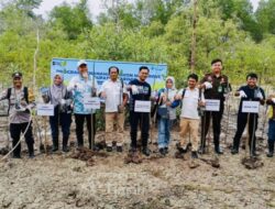 Jaga Pesisir dan Mitigasi Perubahan Iklim, PT TIMAH Tanam 5000 Batang Mangrove di Pantai Kobel