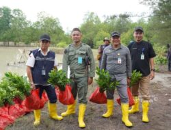 Program TJSL Jaga Ekosistem Pesisir, PT TIMAH Tbk Tanam Belasan Ribu Mangrove di Kundur dan Meranti 