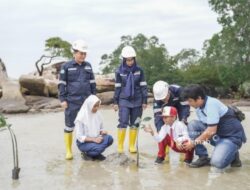 Edukasi Pelajar Soal Lingkungan, PT TIMAH Tbk Tanam Kepedulian Lewat Program Mangrove