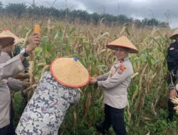 Polri Dorong Kesejahteraan Petani Jagung lewat Permodalan KUR dan Bulog
