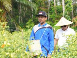 Sinergi Wujudkan Ketahanan Pangan, PT TIMAH Optimalkan Potensi Pertanian Lokal 