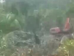 Hutan Mangrove Dusun Mengkubung Dibabat, Tambang Ilegal Bebas: APH Didesak Bertindak