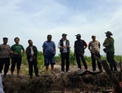 Razia Bocor, Mangrove Tumbang