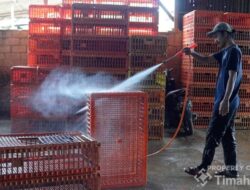 Perkuat Ekonomi Kerakyatan, PT TIMAH Siapkan Beragam Program Pengembangan UMKM