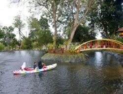 Hijau Nyaman dan Edukatif: Tins Green Garden Foresttree Jadi Destinasi Favorit