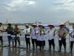 Gerakan Tanam Padi Bersama Basel Gunakan Teknologi Drone, Dorong Swasembada Pangan Berkelanjutan 