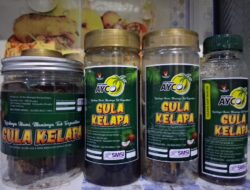 Menilik Keajaiban Gula Kelapa AYCO: Dari Penumpas Anemia Hingga Pelipur Stres