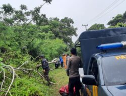 Polres Bangka Barat Imbau Warga Waspada Cuaca Ekstrem Usai Pohon Tumbang di Muntok