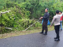 Polres Bangka Barat Bersama Warga Bersihkan Pohon Tumbang, Akses Jalan Cepat Dipulihkan