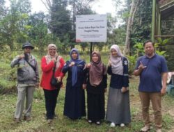 DLH Pangkalpinang Gandeng BRIN dan UBB Teliti Manggis Klabang