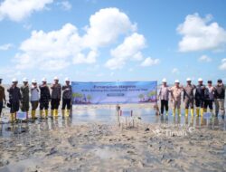 Dari Pesisir Belitung Timur, PT TIMAH dan Masyarakat Bergerak Penanaman Mangrove di Pantai Mudong