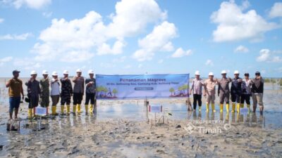 Dari Pesisir Belitung Timur, PT TIMAH dan Masyarakat Bergerak Penanaman Mangrove di Pantai Mudong