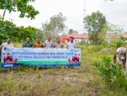PT TIMAH Berbagi Hewan Kurban, Warga Bangka Selatan Rasakan Hangatnya Iduladha