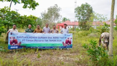 PT TIMAH Berbagi Hewan Kurban, Warga Bangka Selatan Rasakan Hangatnya Iduladha