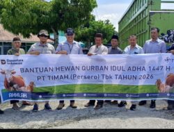 Warga Babar Sambut Antusias Bantuan Hewan Kurban dari PT TIMAH