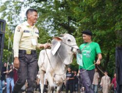 Hangatnya Kebersamaan Idul Adha di Komplek PT TIMAH, Ribuan Paket Daging Dibagikan ke Warga