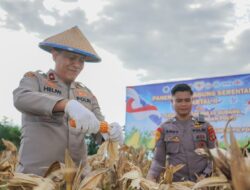 Wakapolda Sulteng Hadiri Panen Raya Nasional, Kapolri: 100 Ton Jagung Diekspor ke Malaysia
