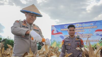 Wakapolda Sulteng Hadiri Panen Raya Nasional, Kapolri: 100 Ton Jagung Diekspor ke Malaysia