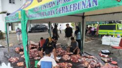 Dinas TPHP Banggai Berbagi Melalui Qurban Pada Hari ldul Adha, 6 Ekor Sapi di Potong Dibagikan Kepada Masyarakat