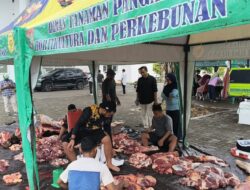 Dinas TPHP Banggai Berbagi Melalui Qurban Pada Hari ldul Adha, 6 Ekor Sapi di Potong Dibagikan Kepada Masyarakat