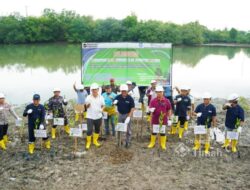 Bersama Pemkab Bangka, PT TIMAH Tanam Pohon di Kolong AKHLAK Air Kantung