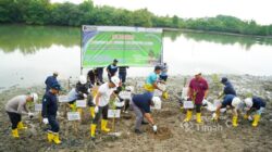 Kolaborasi PT TIMAH, Pemerintah Kabupaten Bangka dan Warga Ubah Kolong AKHLAK Jadi Kawasan Produktif