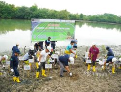 Kolaborasi PT TIMAH, Pemerintah Kabupaten Bangka dan Warga Ubah Kolong AKHLAK Jadi Kawasan Produktif