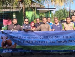 SMSI Babel Gelar Pemotongan Hewan Kurban, Perkuat Kebersamaan dan Kepedulian Antar Anggota