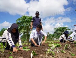 Mengenal Reklamasi PT Timah, Pelajar Bangka Diajak Berpetualang