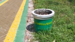 Taman Rp996 Juta di Koba Rusak Sebelum Setahun, Lelang Hanya Satu Peserta