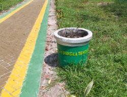 Taman Rp996 Juta di Koba Rusak Sebelum Setahun, Lelang Hanya Satu Peserta