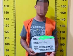 Bawa 7,43 Gram Ganja, Pria Asal Galang Diamankan Satresnarkoba Polresta Deli Serdang