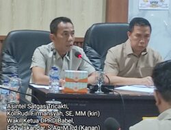 Satgas Tricakti Sebut Bertugas Berdasarkan Sprin Panglima TNI, Bukan Tangkap Tapi Amankan Timah
