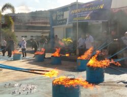 Bea Cukai Luwuk Musnahkan 398 Ribu Batang Rokok Ilegal dan MMEA, Potensi Kerugian Negara Rp323,5 Juta