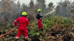 PT TIMAH Bersama Grup MIND ID Kerahkan 15 Fire Fighter Padamkan Karhutla di Kalbar