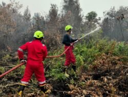 PT TIMAH Bersama Grup MIND ID Kerahkan 15 Fire Fighter Padamkan Karhutla di Kalbar