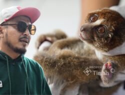 Karhutla Kepung Habitat, Satwa Endemik Babel Terancam