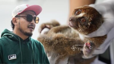 Karhutla Kepung Habitat, Satwa Endemik Babel Terancam