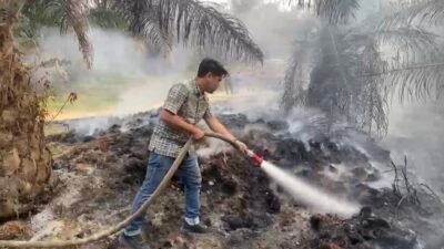 Respons Cepat Polsek Merlung Tindaklanjuti Kebakaran Jangkos di PT IIS, Tiga Titik Api Berhasil Dikendalikan