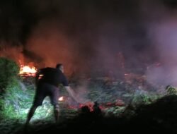 Gerak Cepat, Polsek Lamala Berhasil Padamkan Karhutla Seluas 2 Hektar di Sirom