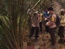Heboh! Lansia yang Hilang Sepekan Ditemukan Meninggal di Parit Gelap Matahari