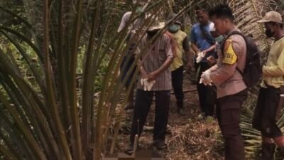 Heboh! Lansia yang Hilang Sepekan Ditemukan Meninggal di Parit Gelap Matahari