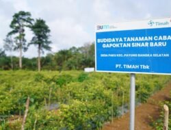 Dari Cangkul ke Kultivator: Cara PT TIMAH Menanam Ketahanan Pangan di Lingkar Tambang