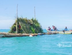 Dari 7.680 Terumbu Buatan hingga Atraktor Cumi, Cara PT Timah Pulihkan Laut Babel