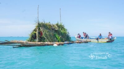 Dari 7.680 Terumbu Buatan hingga Atraktor Cumi, Cara PT Timah Pulihkan Laut Babel