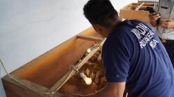 Kreatif, Rutan Kelas I Medan Sulap Area Branggang Jadi Lokasi Ternak Ayam Kampung