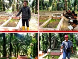 Demi Dapatkan Sertifikasi ISPO/RSPO Regulasi Kelapa Sawit Berkelanjutan, PT DAS Tabrak Aturan